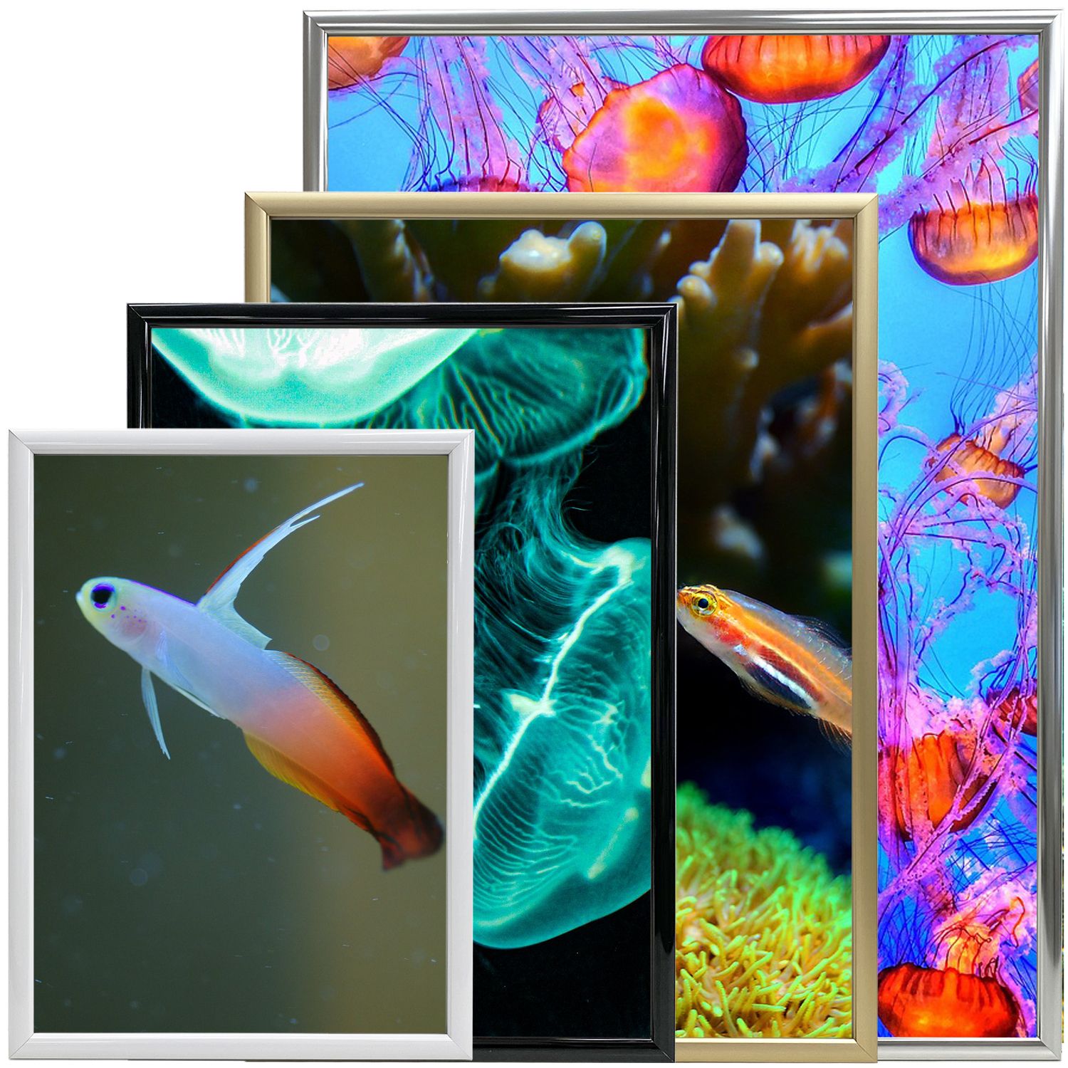 詳細画像 アルパネ 5016