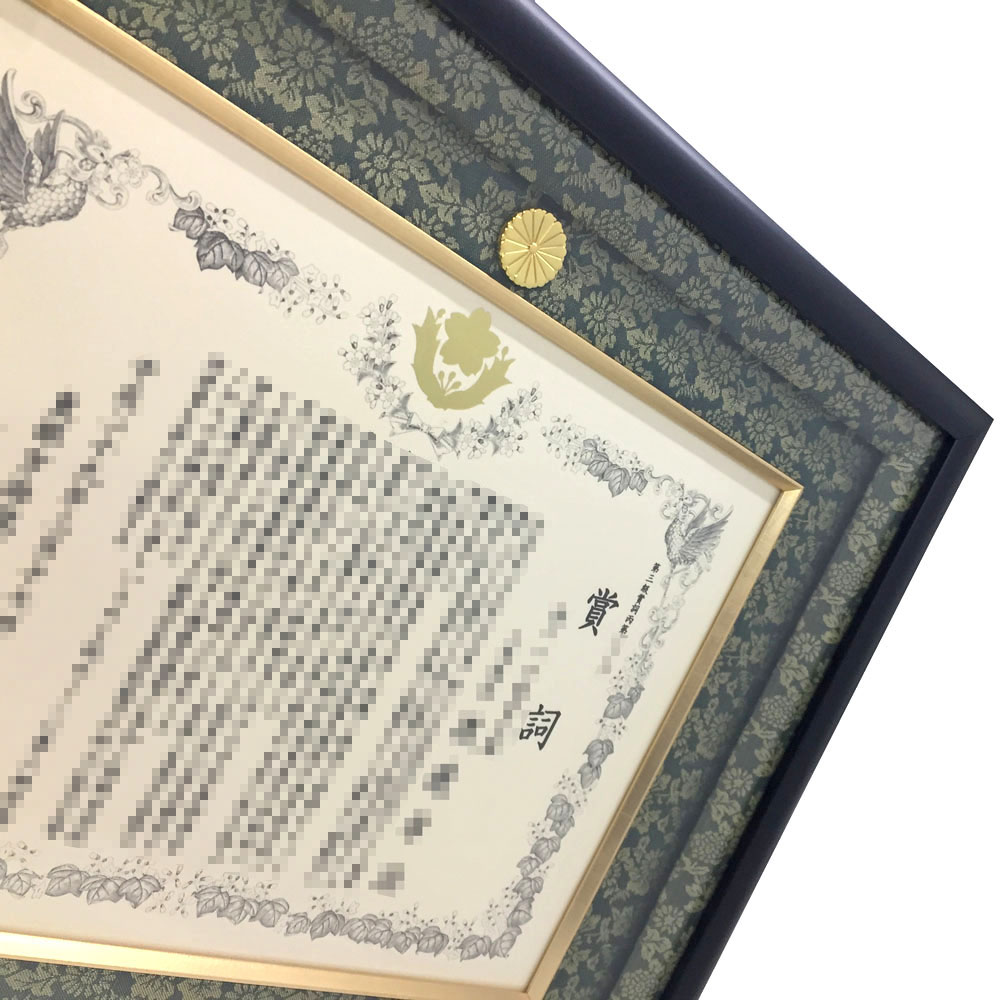 詳細画像3 自衛隊 防衛功労章専用額 GT24