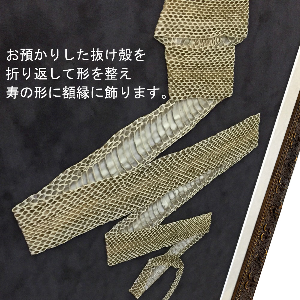 [セット工賃込] 蛇の抜け殻用 8232