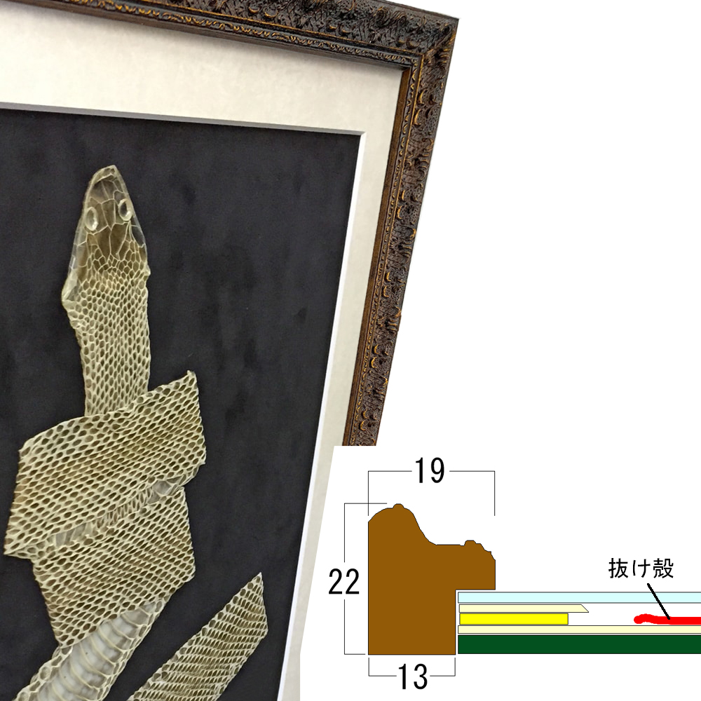 詳細画像8 [セット工賃込] 蛇の抜け殻用 8232