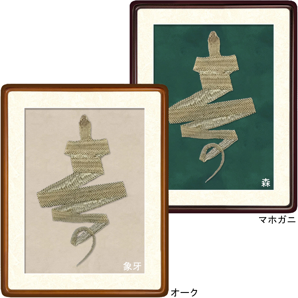 詳細画像 [セット工賃込] 蛇の抜け殻用 隅丸傾斜