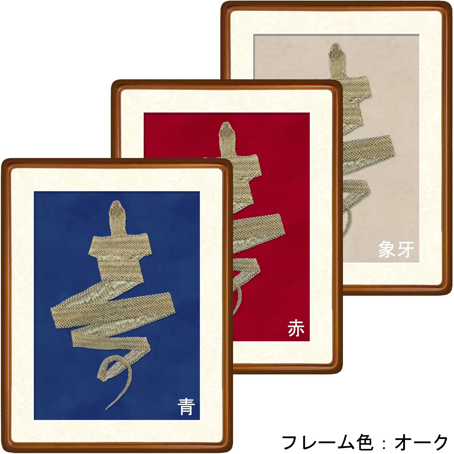 詳細画像4 [セット工賃込] 蛇の抜け殻用 隅丸傾斜