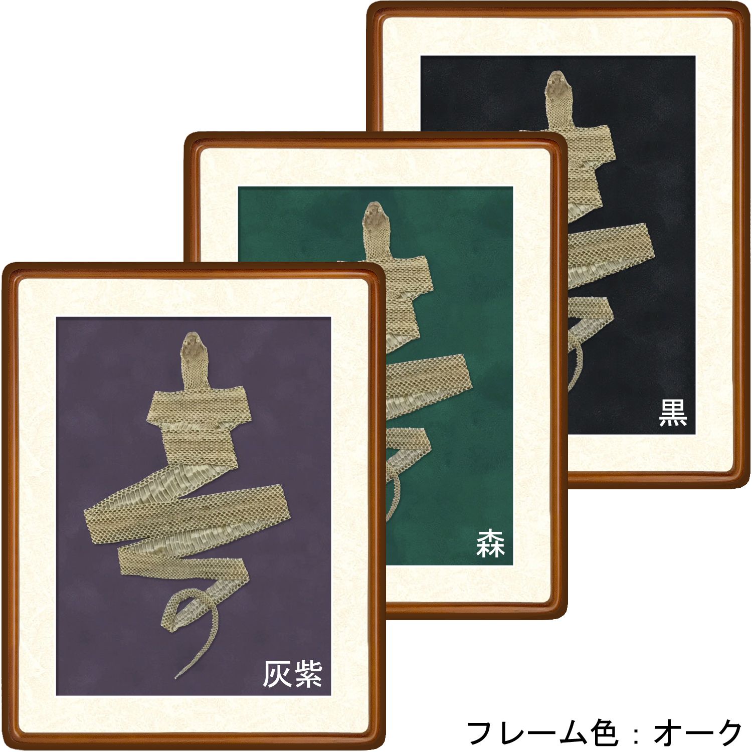 詳細画像5 [セット工賃込] 蛇の抜け殻用 隅丸傾斜