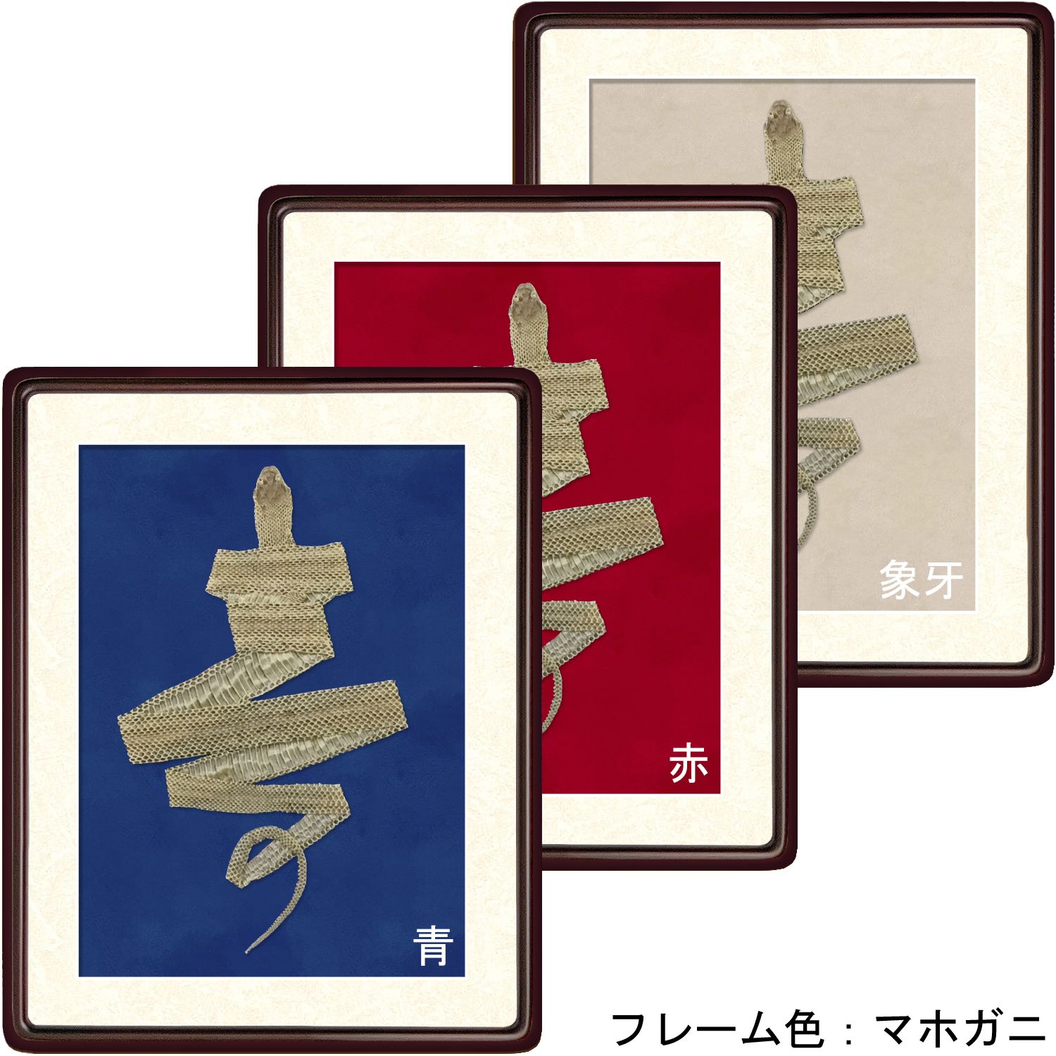 詳細画像6 [セット工賃込] 蛇の抜け殻用 隅丸傾斜