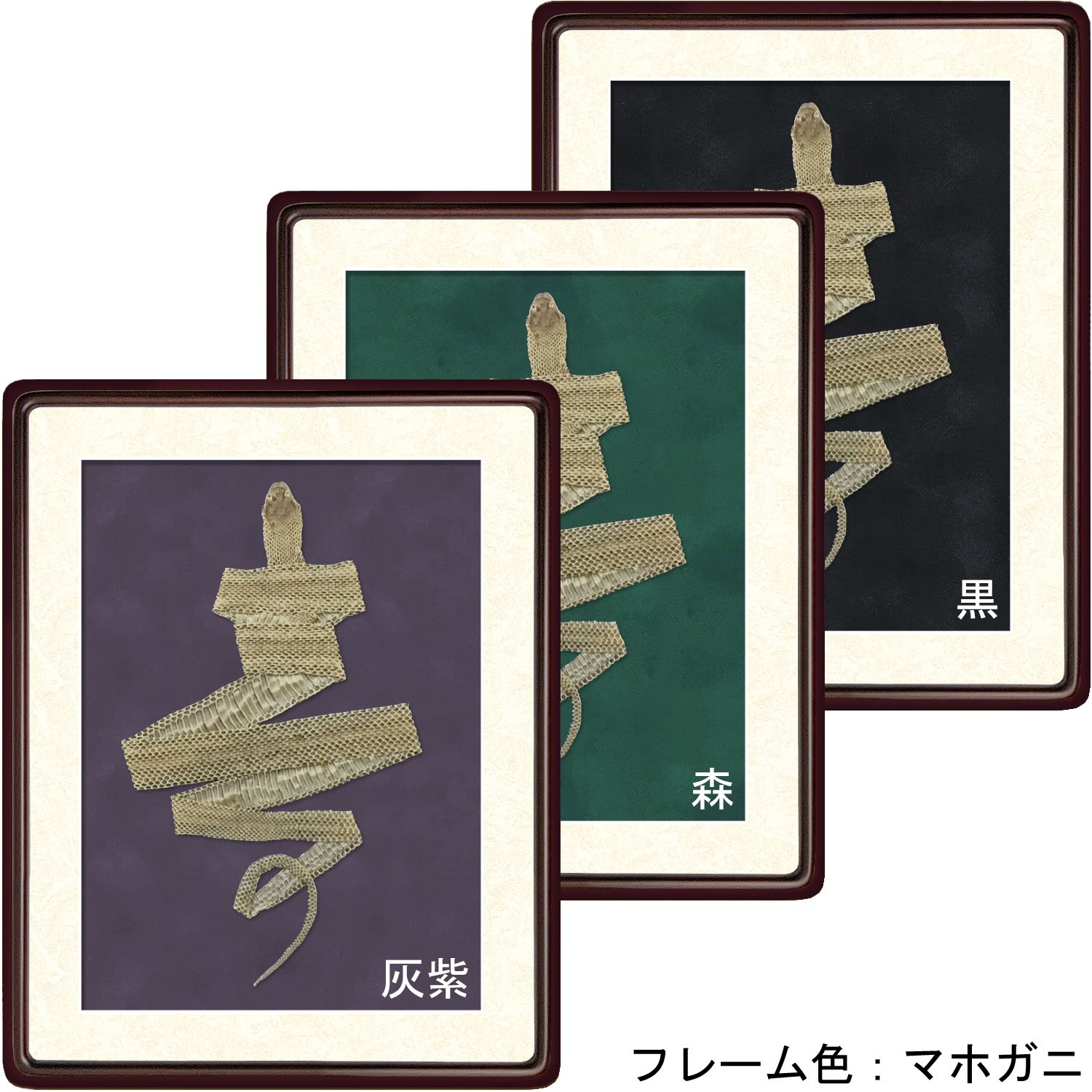 詳細画像7 [セット工賃込] 蛇の抜け殻用 隅丸傾斜