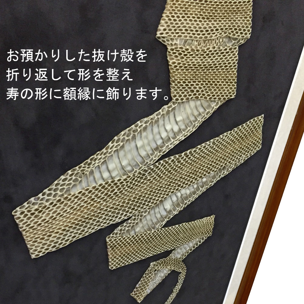 詳細画像8 [セット工賃込] 蛇の抜け殻用 隅丸傾斜