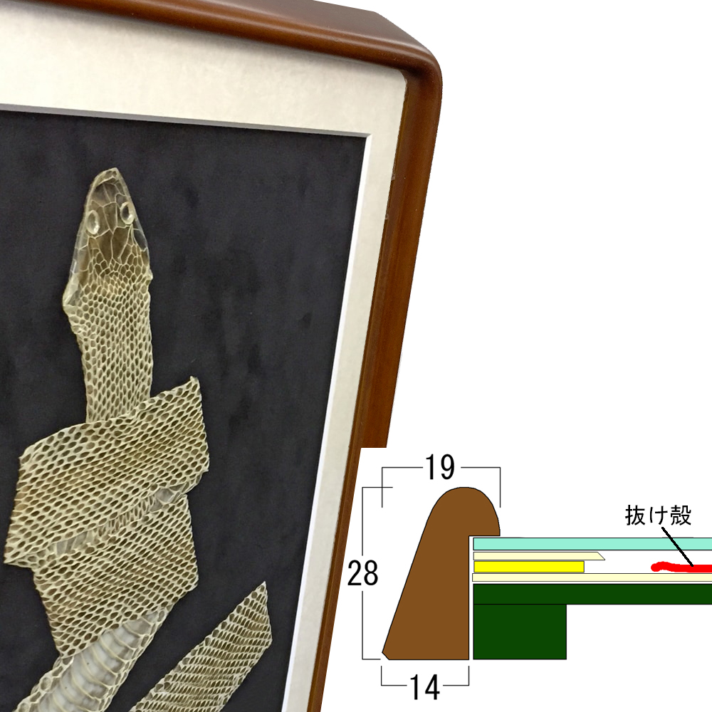 詳細画像9 [セット工賃込] 蛇の抜け殻用 隅丸傾斜
