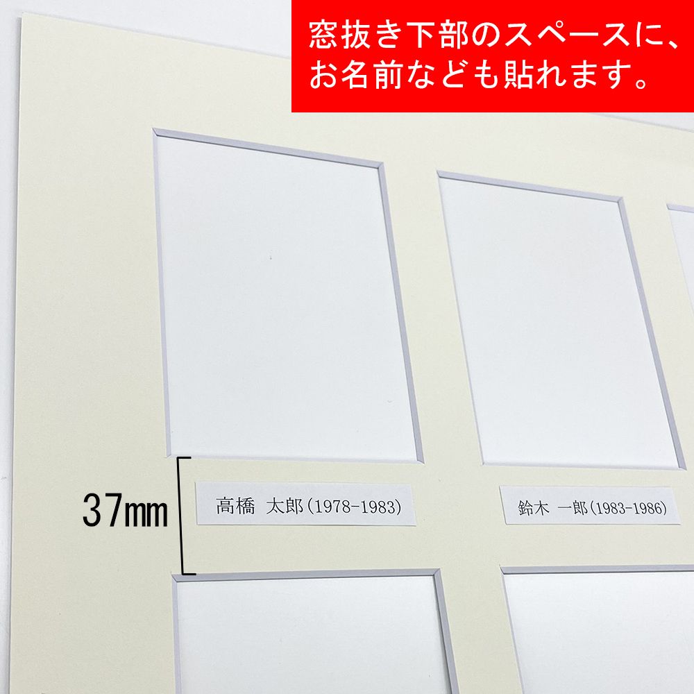 詳細画像6 歴代写真専用額 アルパイン