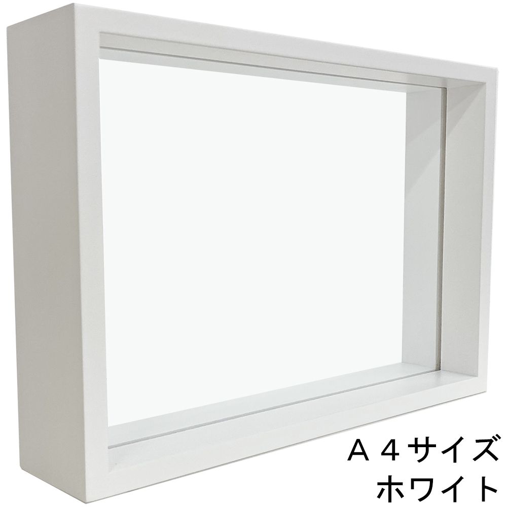 詳細画像4 フライヤーフレーム 9108