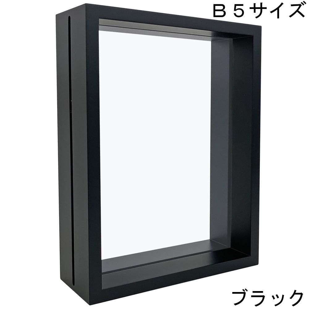 詳細画像5 フライヤーフレーム 9108