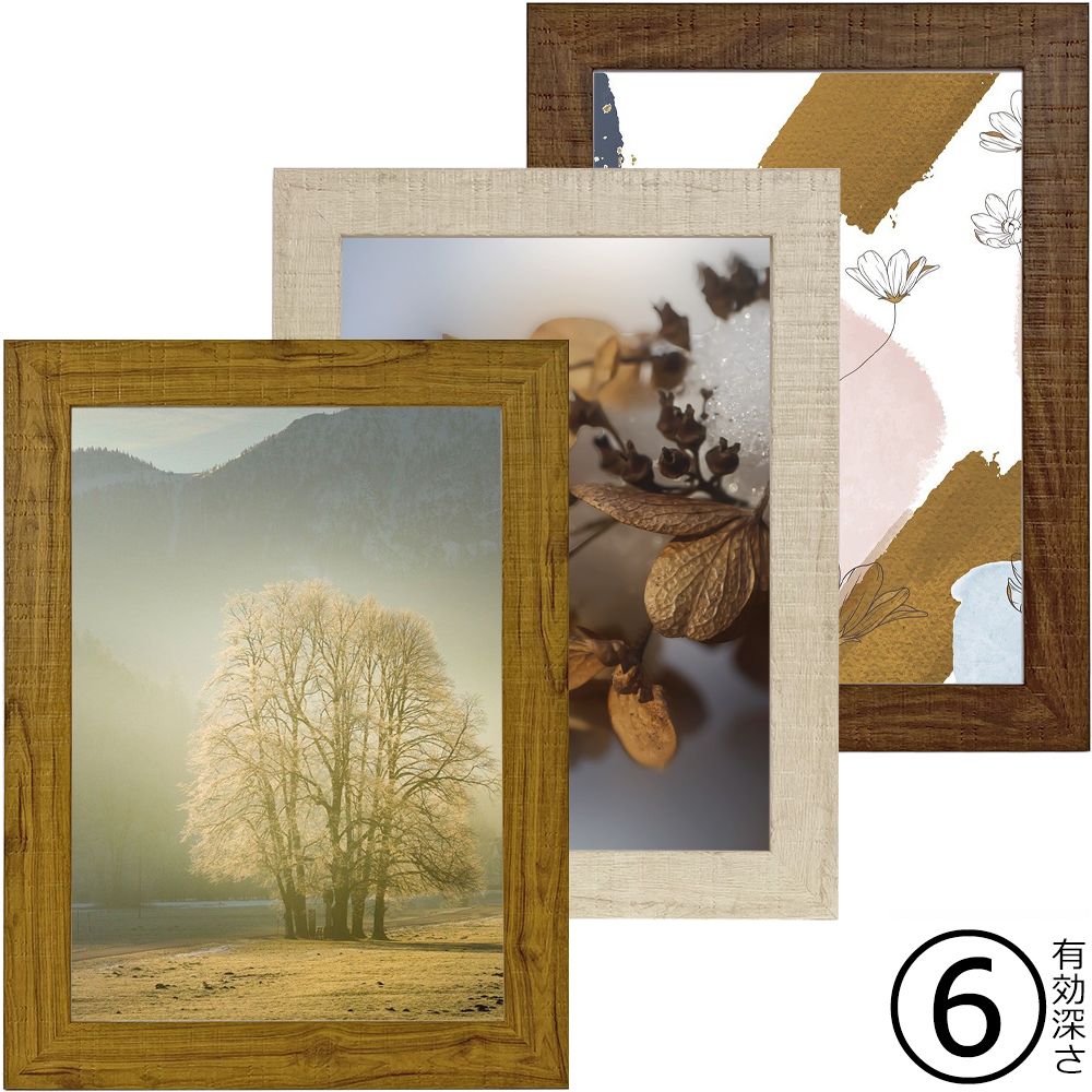 詳細画像 一般額 APS-07