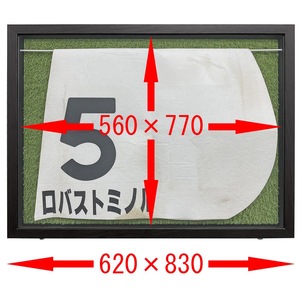 詳細画像8 前開式 競馬ゼッケン専用額 芝