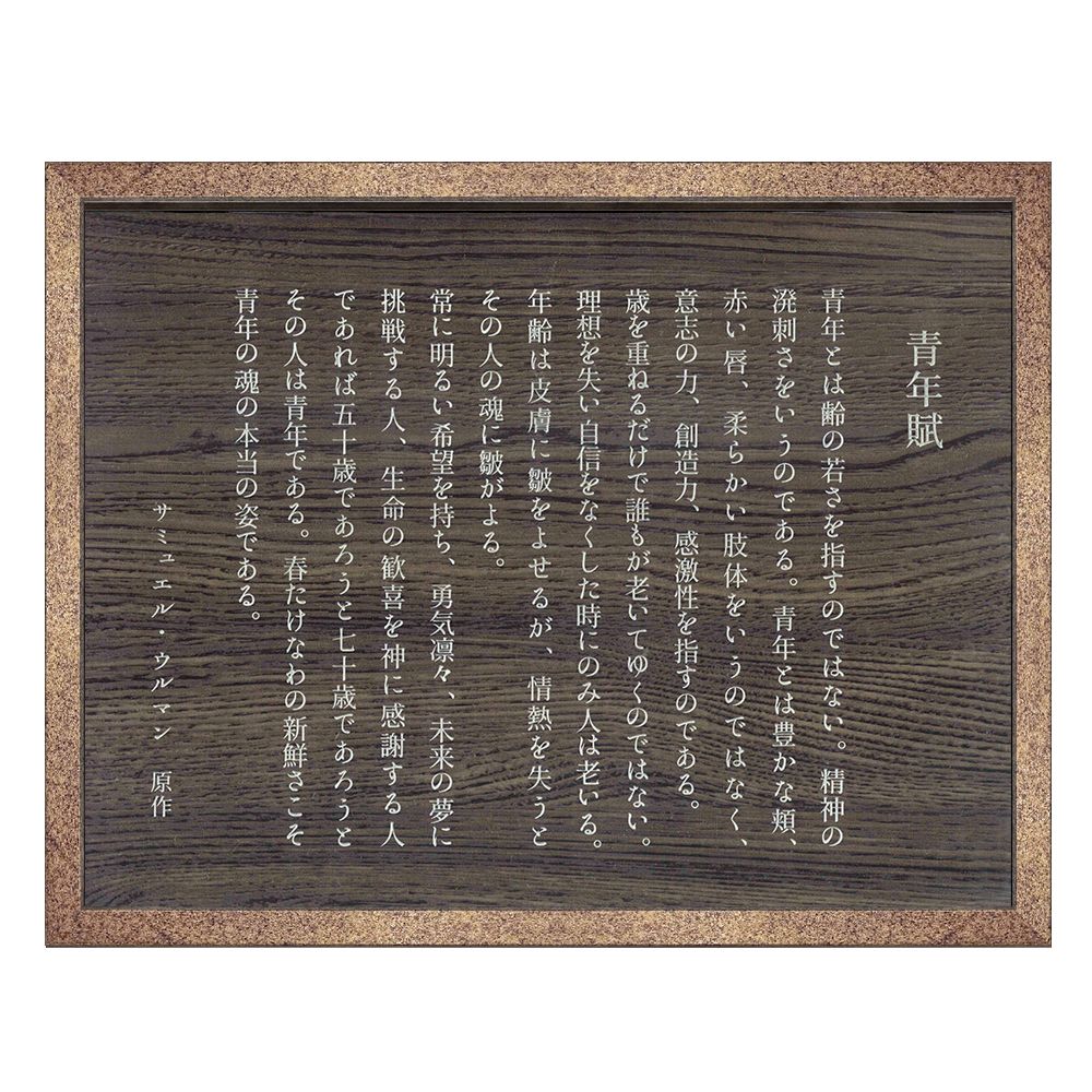 詳細画像3 青年賦(YOUTH訳文)