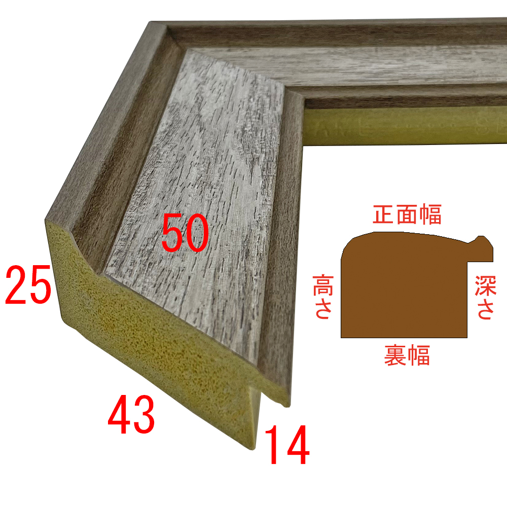 詳細画像3 SF500ブラウン
