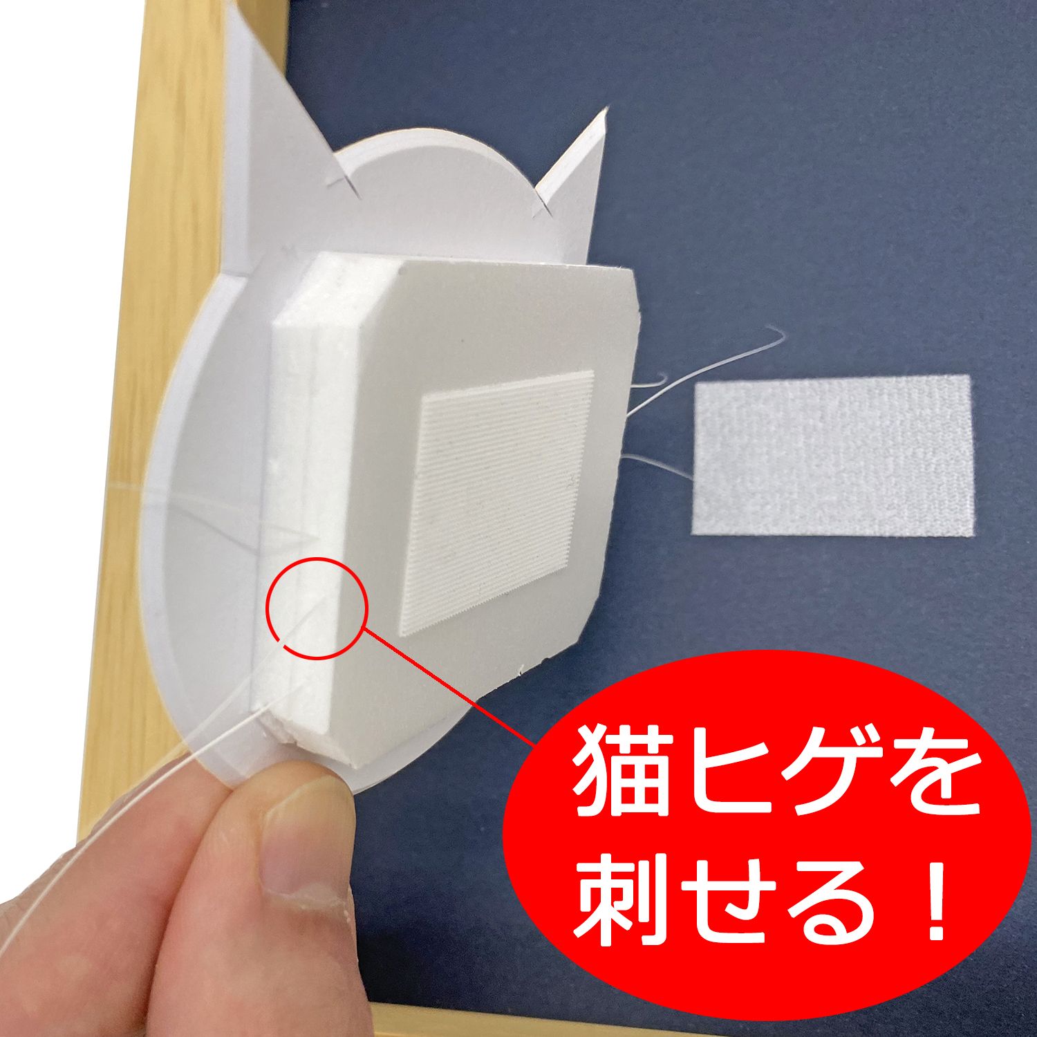 詳細画像2 猫ひげフレーム 7916