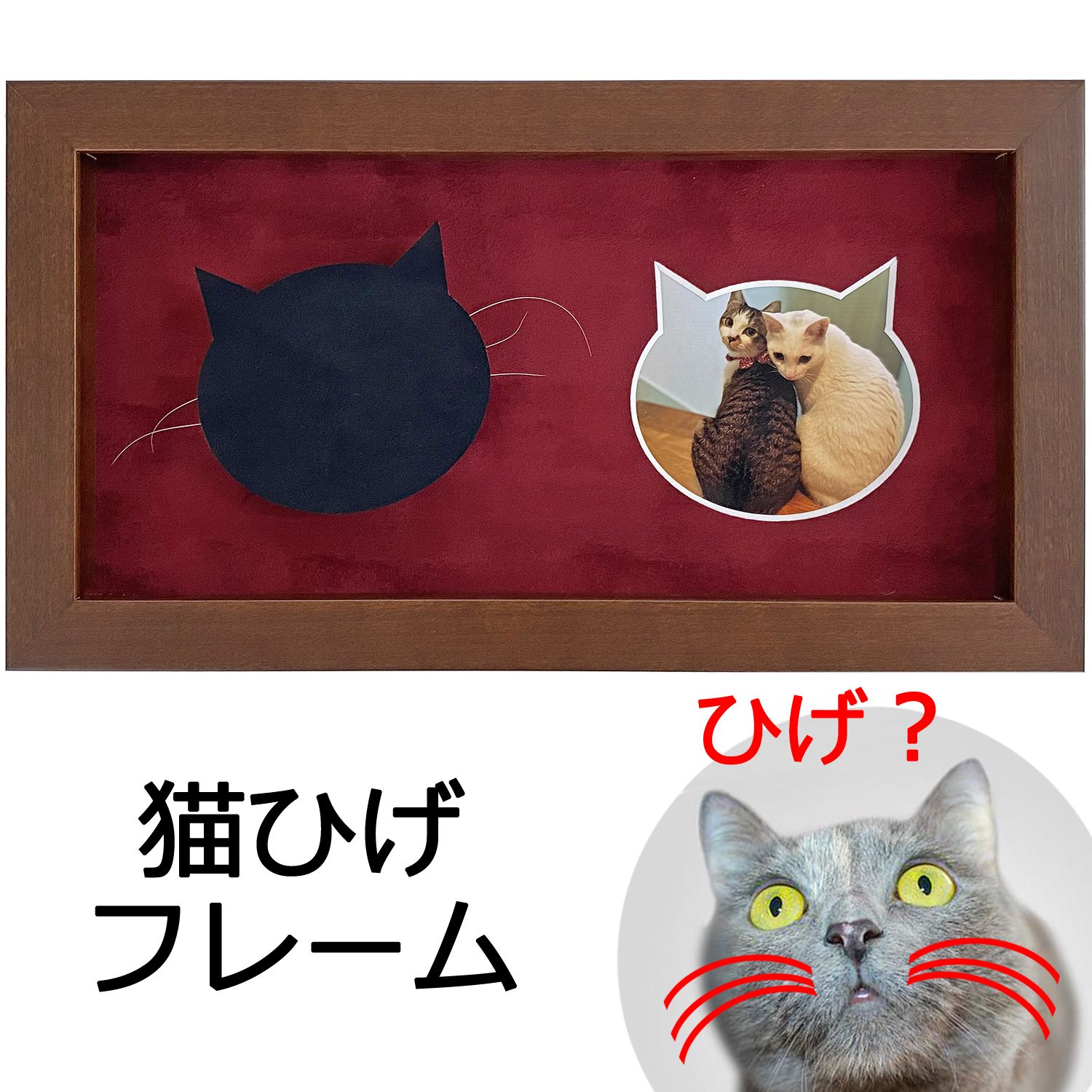 詳細画像 猫ひげフレーム 5660