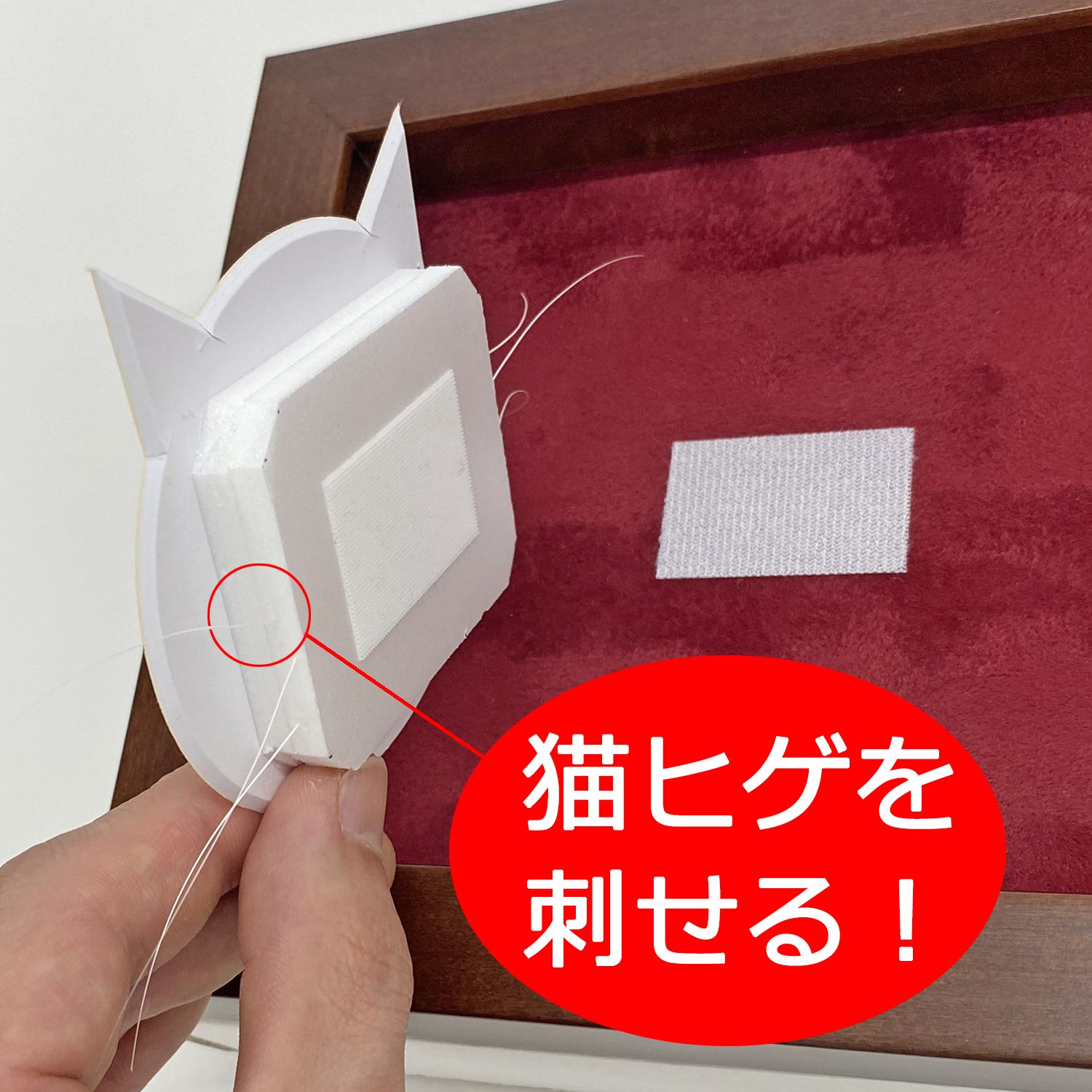 詳細画像2 猫ひげフレーム 5660