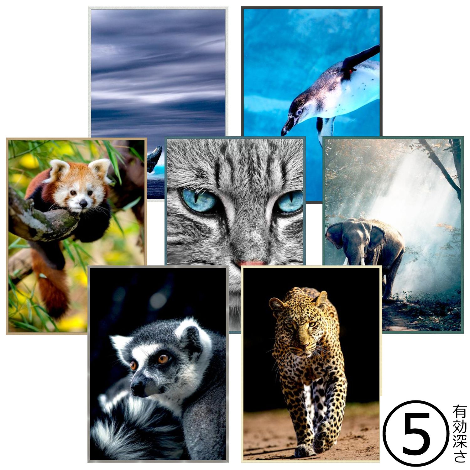 詳細画像 一般額 T25