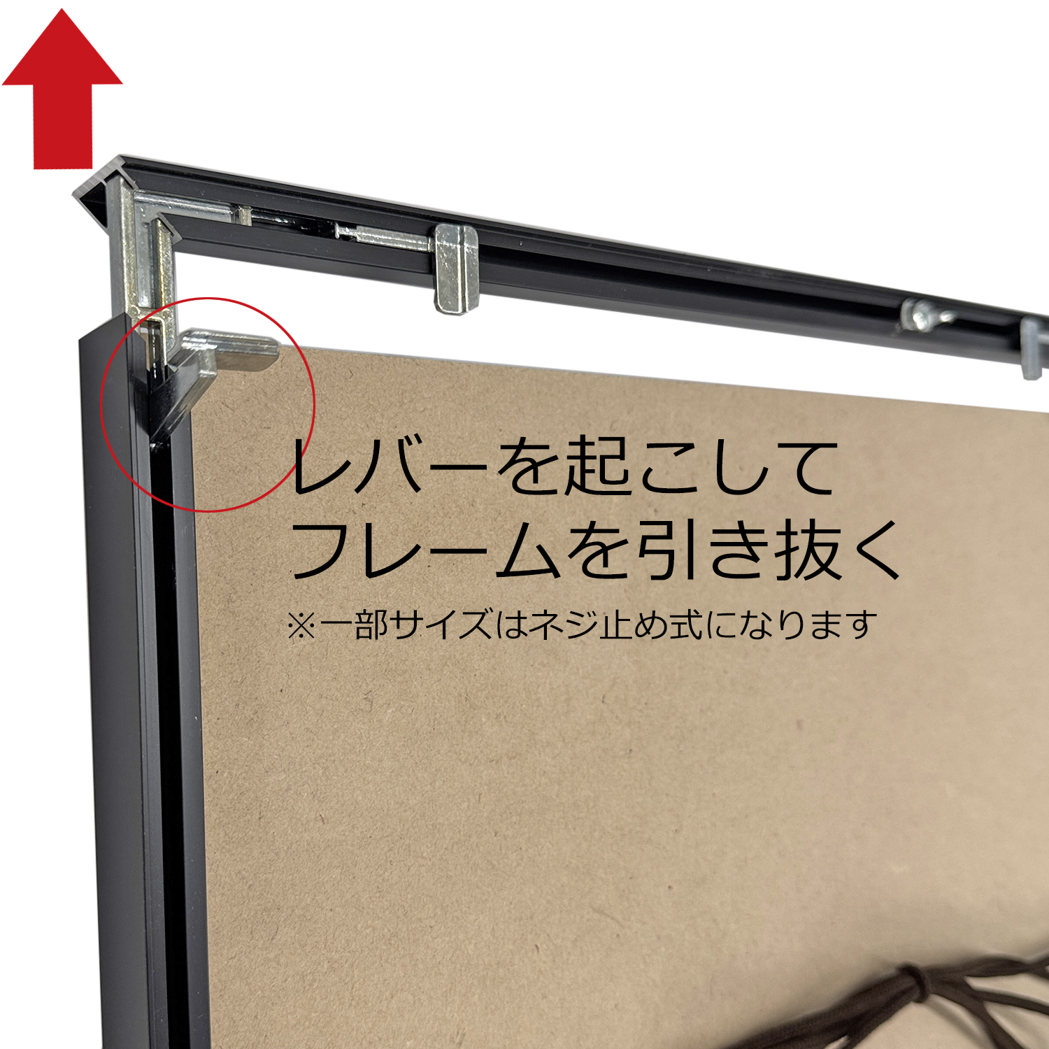 詳細画像7 一般額. T25