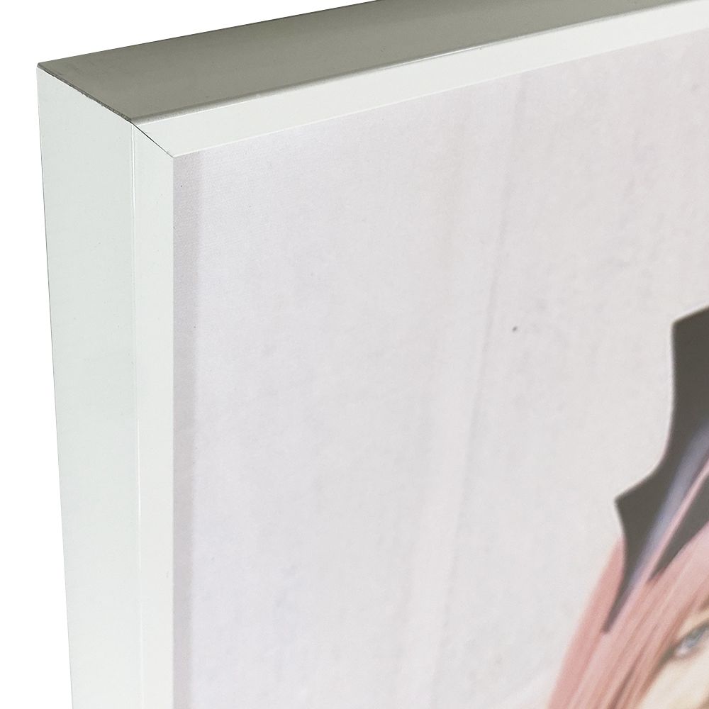 [セット工賃込] 抱き枕カバー専用額