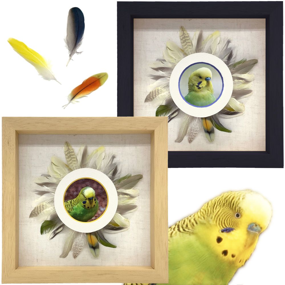 小鳥の羽根フレーム 7916