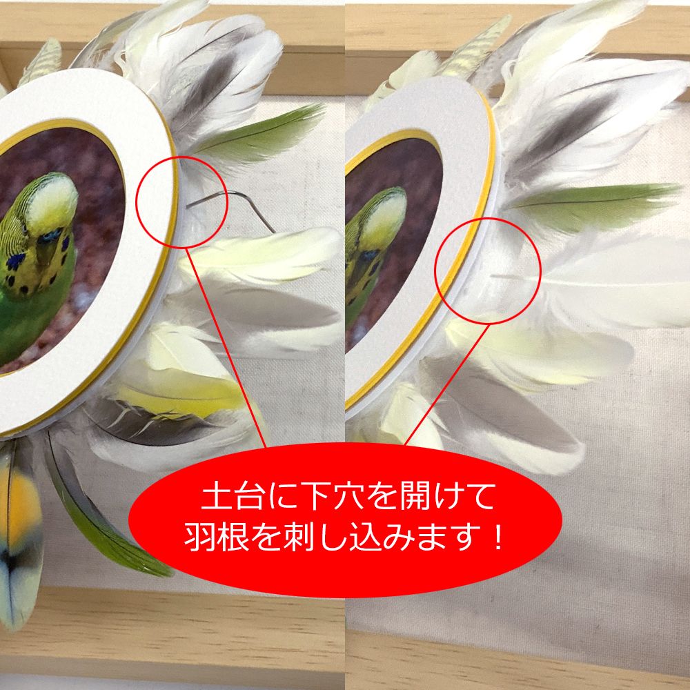詳細画像2 小鳥の羽根フレーム 7916