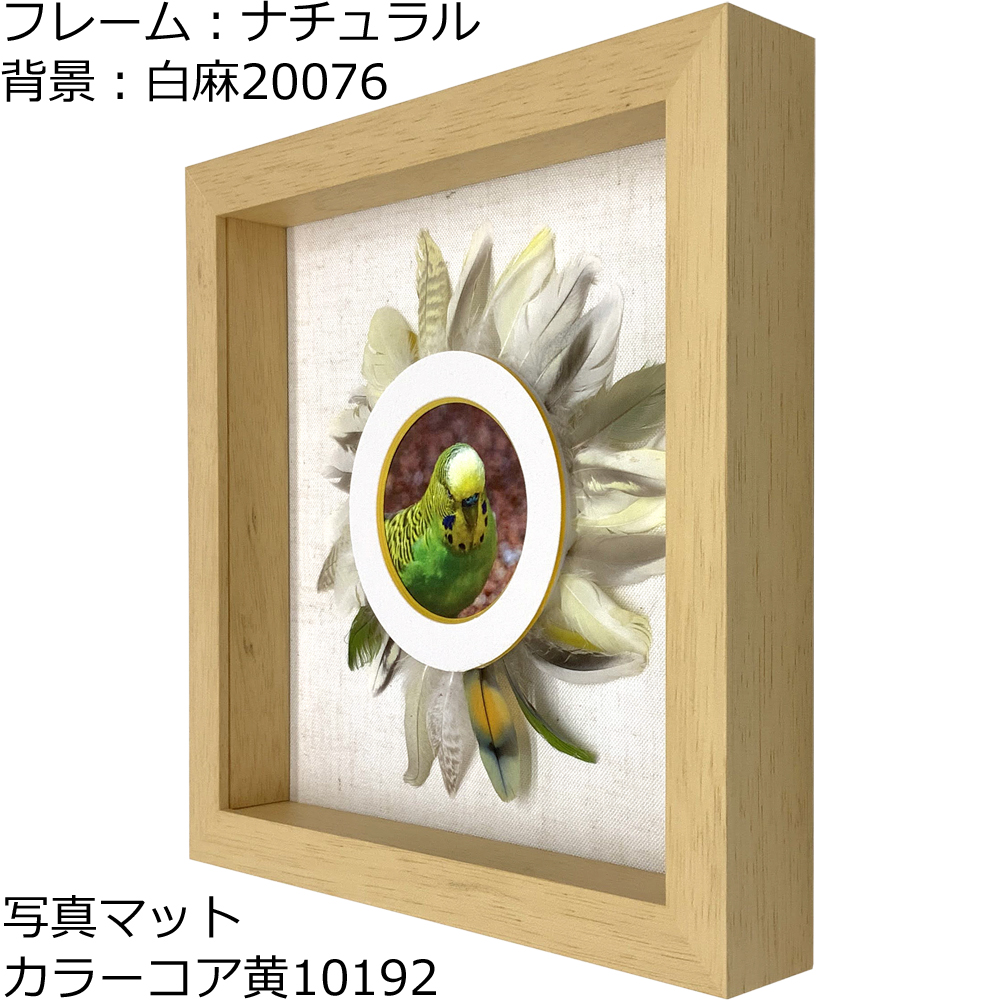 詳細画像5 小鳥の羽根フレーム 7916