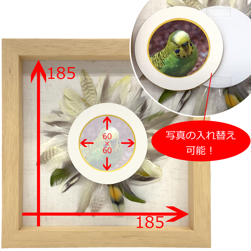 詳細画像6 小鳥の羽根フレーム 7916