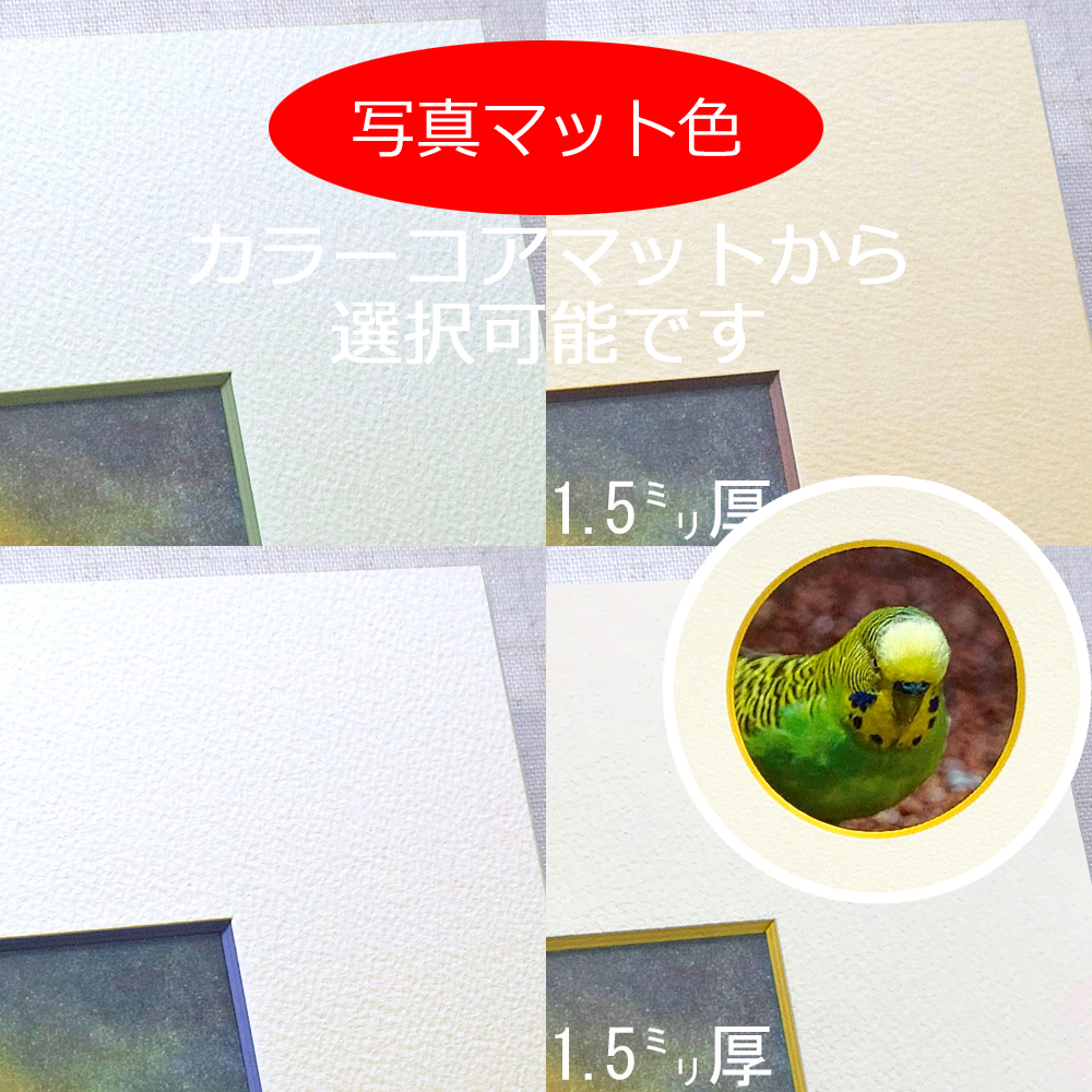 詳細画像7 小鳥の羽根フレーム 7916