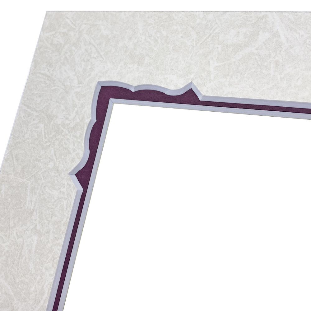 詳細画像4 FP技能検定 合格証専用額