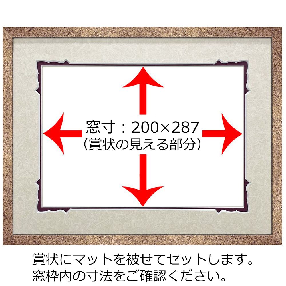 詳細画像5 FP技能検定 合格証専用額