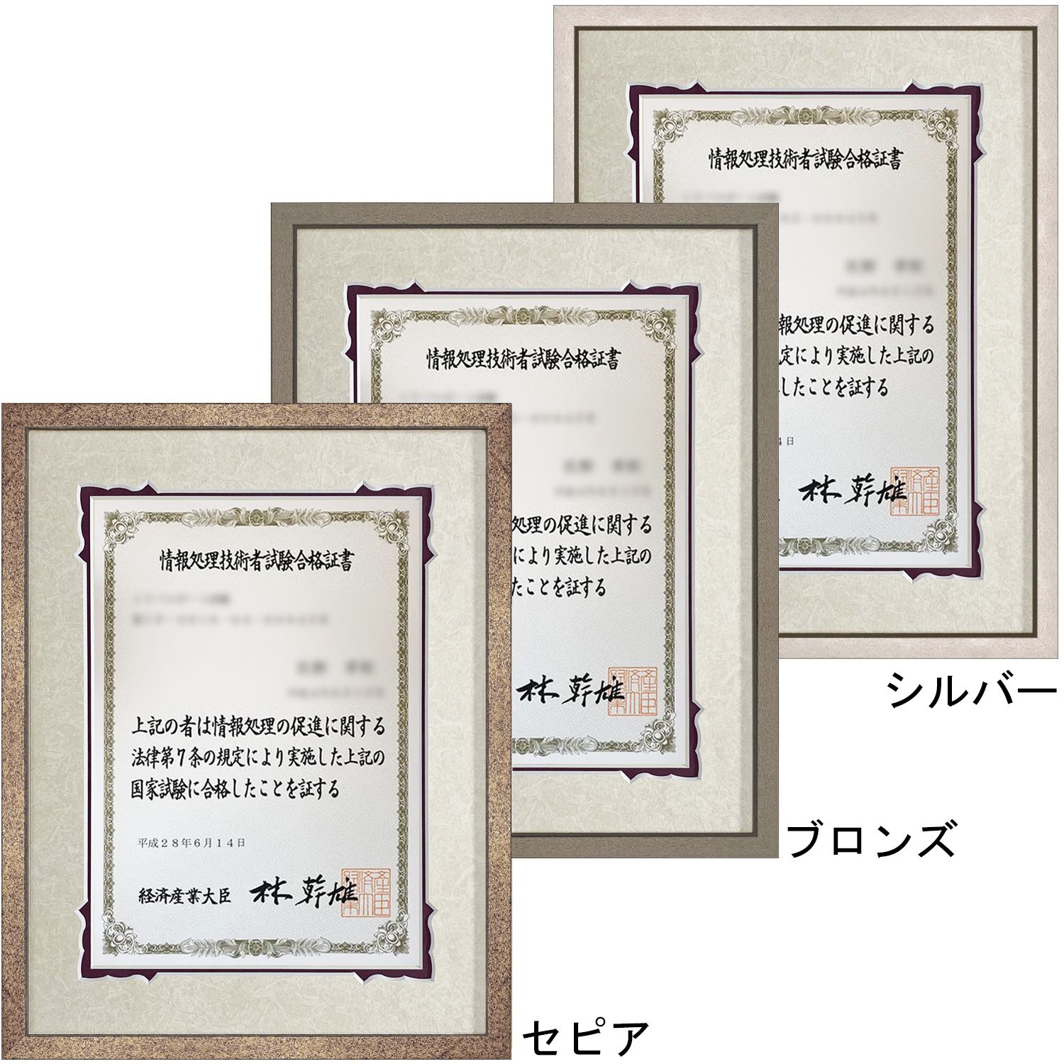 情報処理技術者試験 合格証書専用額