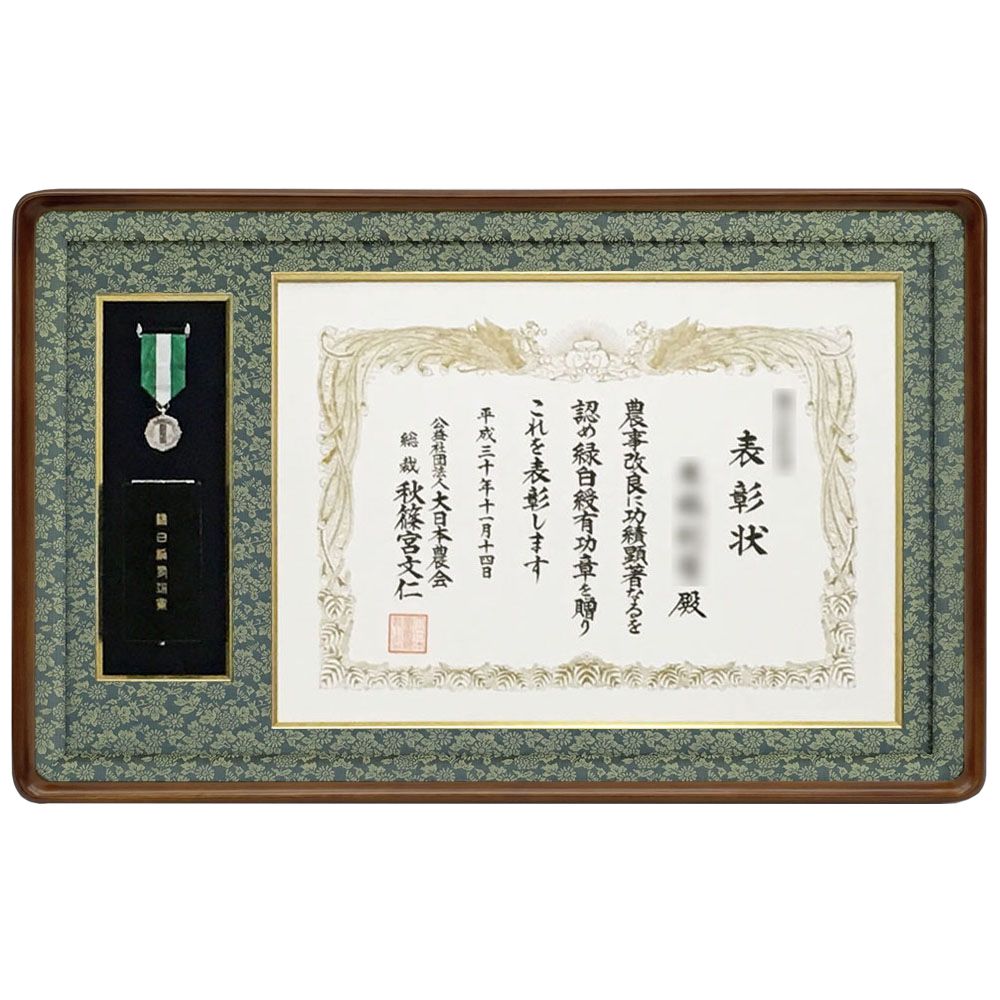 詳細画像 大日本農会 緑白綬有功章 妙高