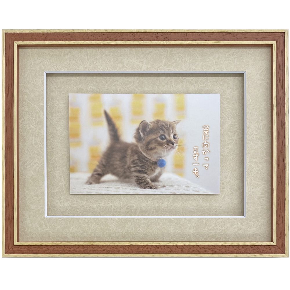 詳細画像4 ポストカード専用額 7910