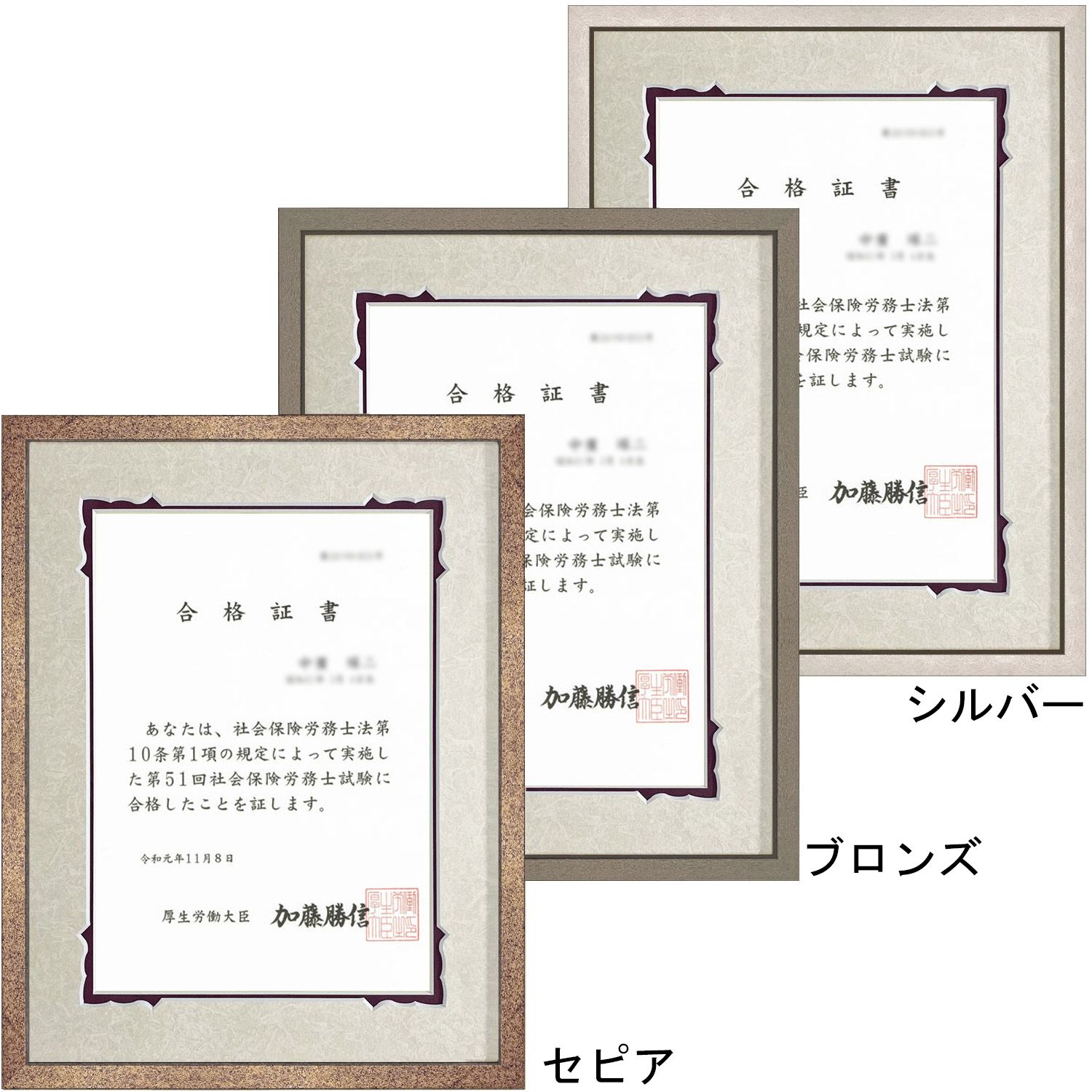 社会保険労務士 合格証書専用額