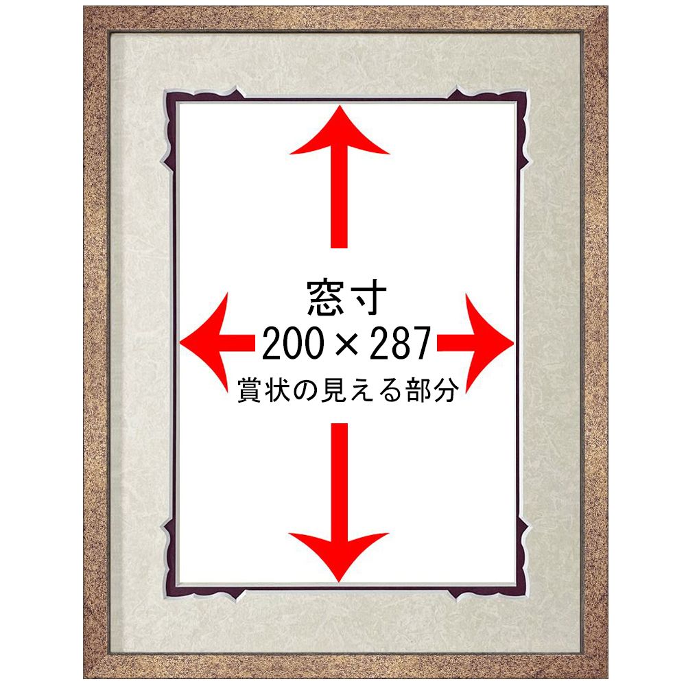 詳細画像5 社会保険労務士 合格証書専用額