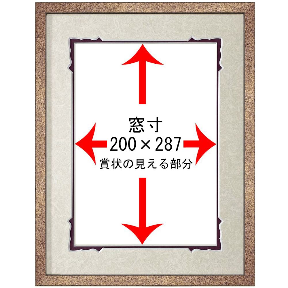 詳細画像5 一級建築士登録証明書 専用額