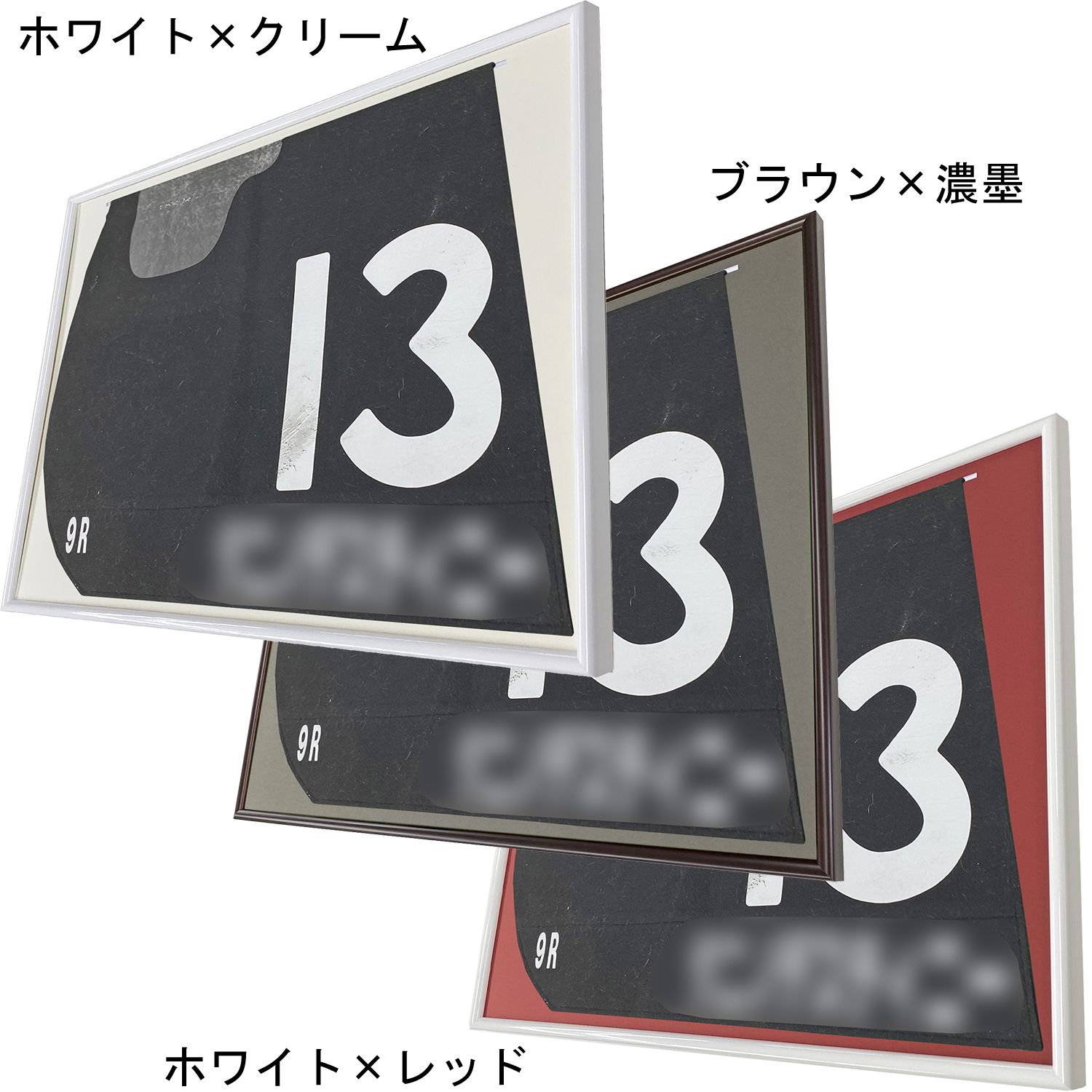 詳細画像5 競馬ゼッケン専用額 6700N