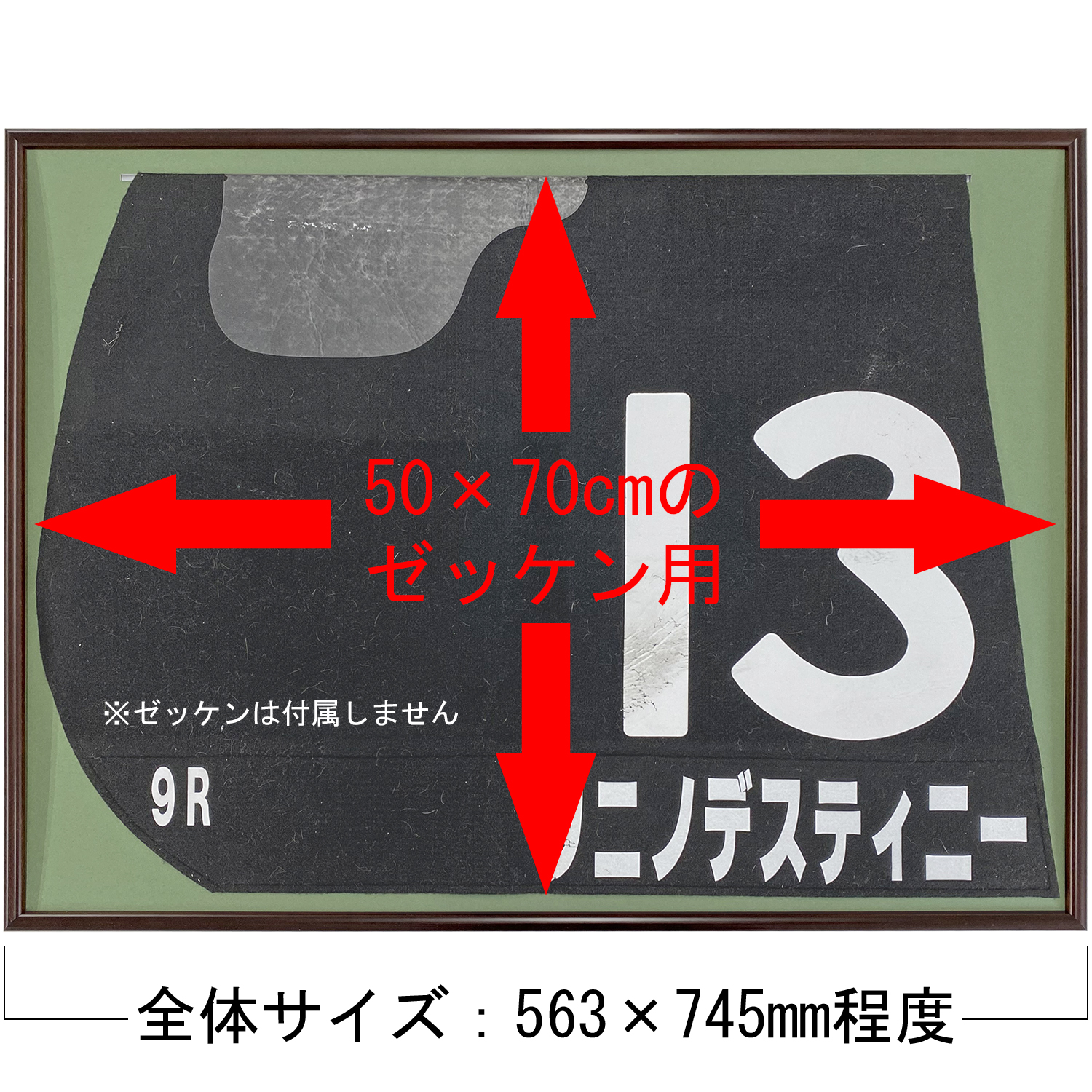 詳細画像6 競馬ゼッケン専用額 6700N
