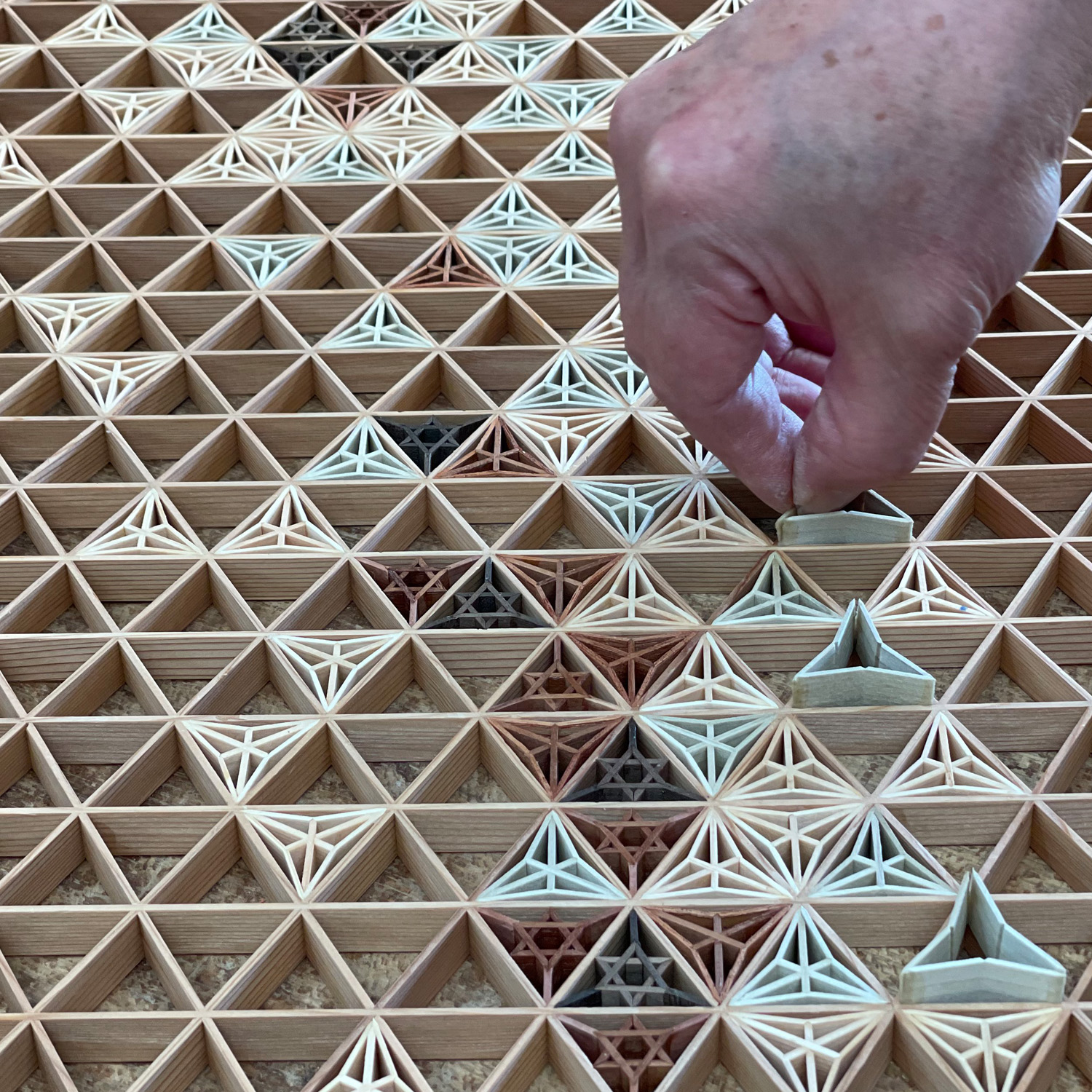 詳細画像4 [中綬章専用]神代叙勲額 八重麻の葉