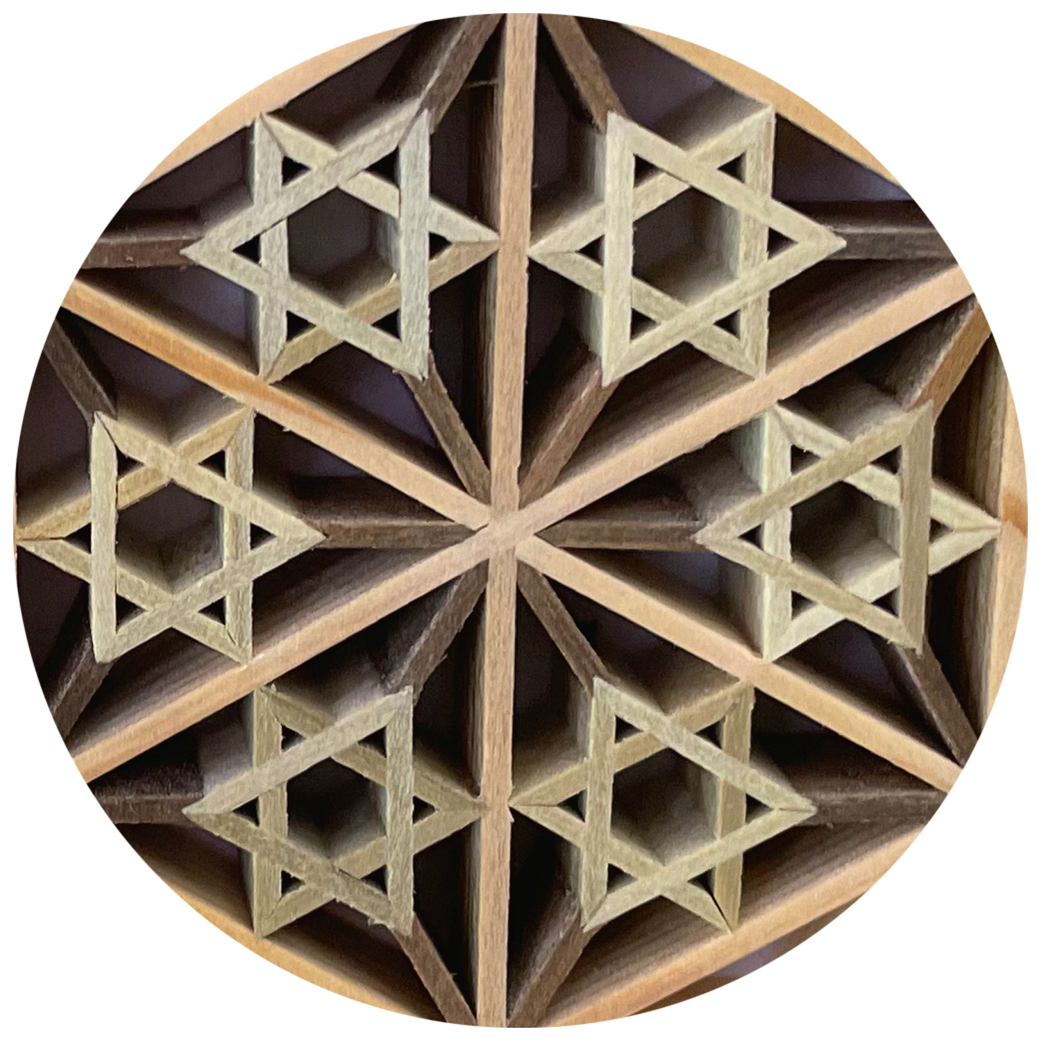 詳細画像6 [中綬章専用]神代叙勲額 八重麻の葉