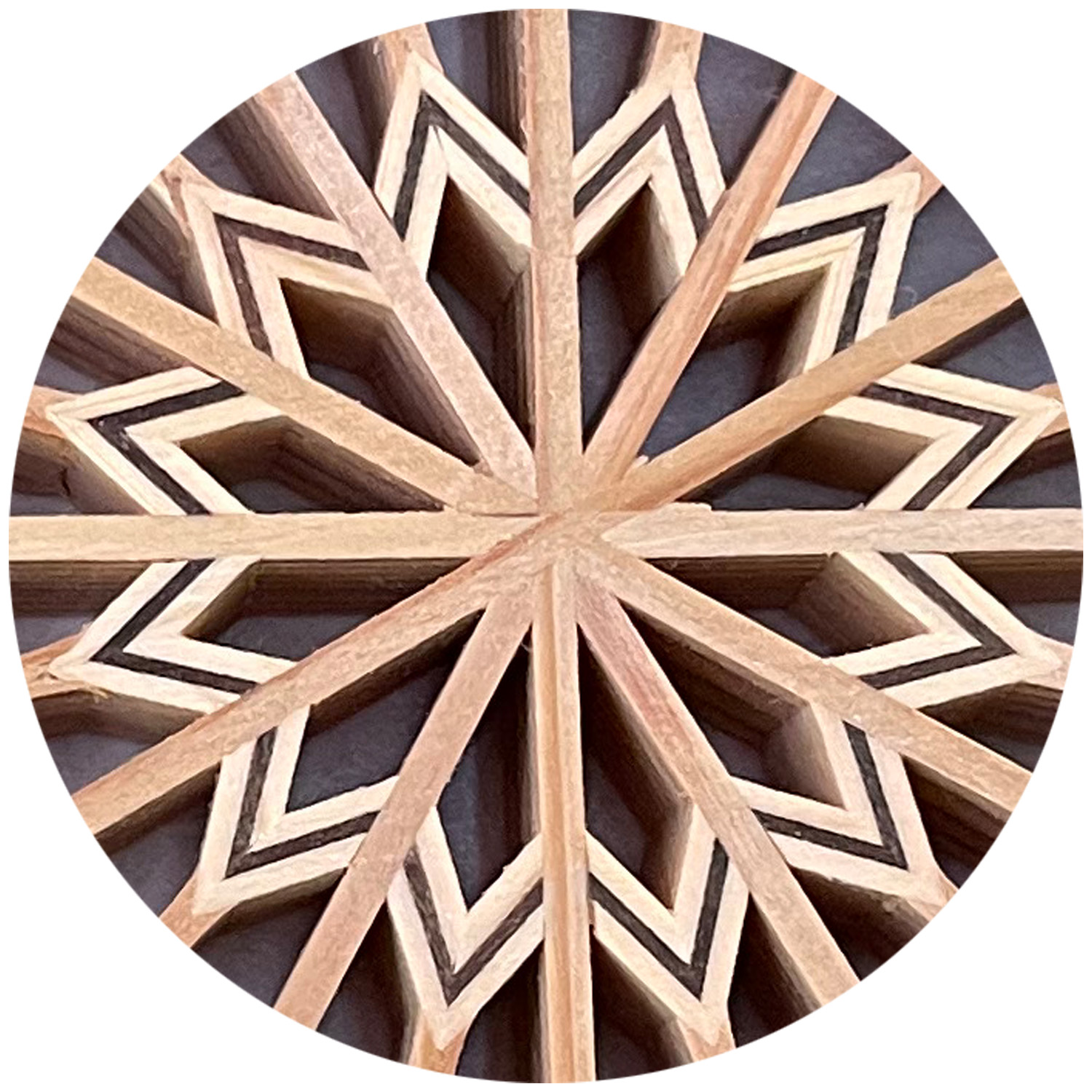 詳細画像5 [中綬章専用]神代叙勲額 八重菊