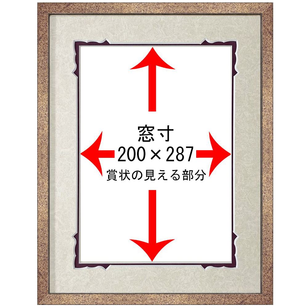 詳細画像5 登録型枠基幹技能者 専用額