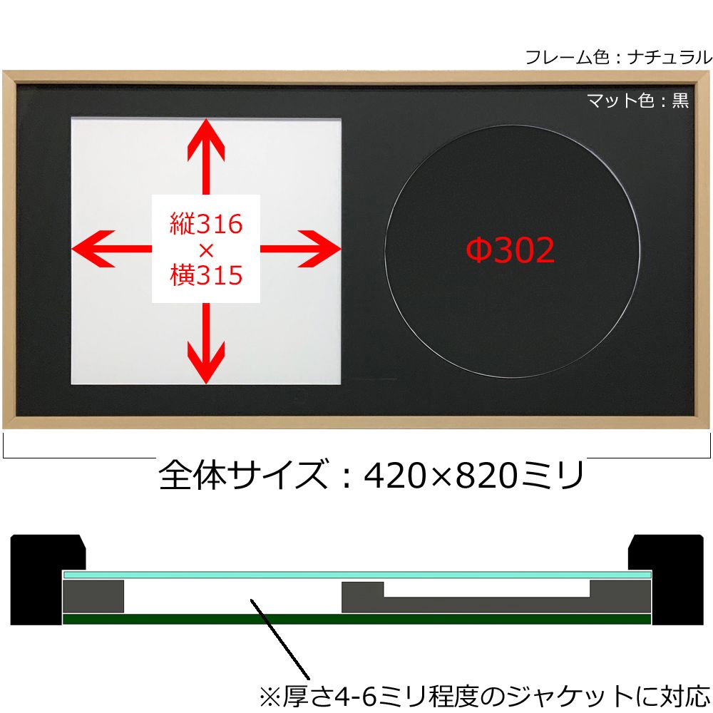 詳細画像5 LPジャケット&円盤専用額 BH-W01F