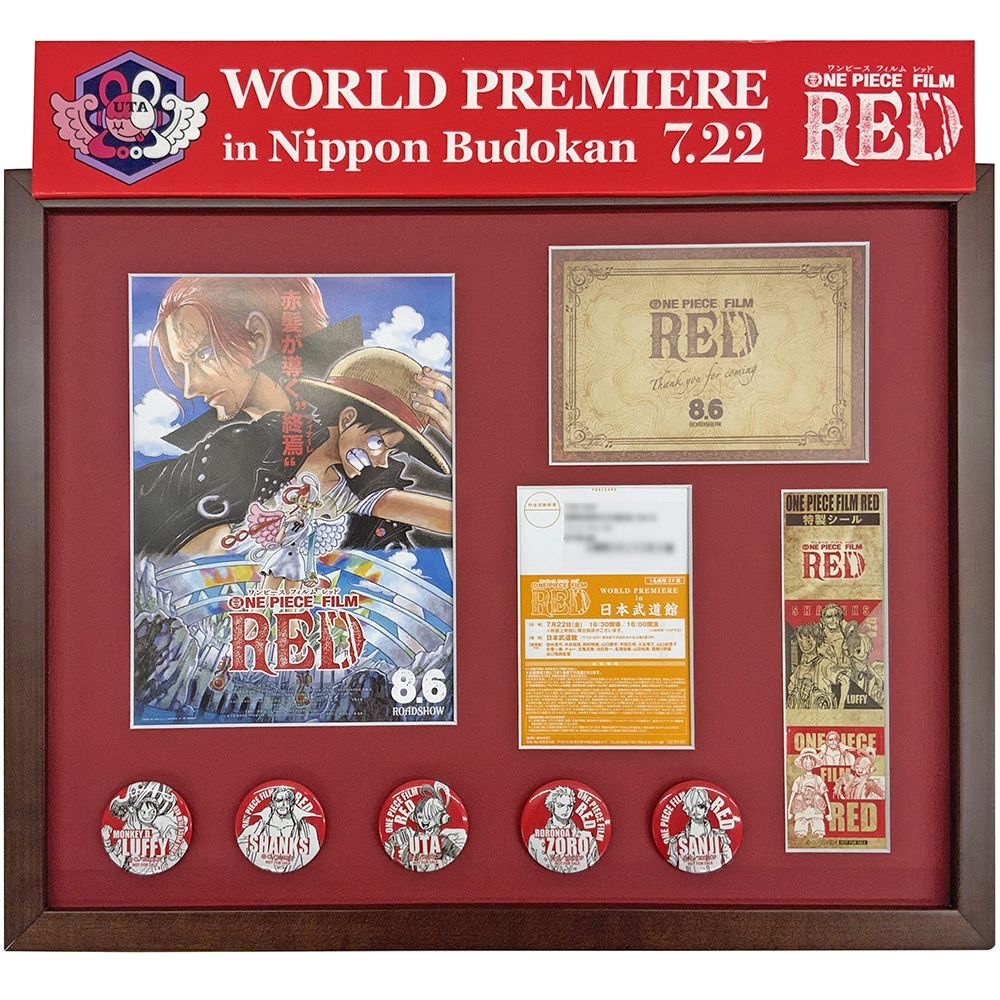 額装実例1 ワンピース FILM RED