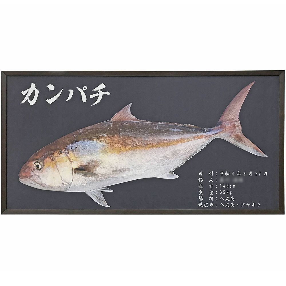 デジタル魚拓 カンパチ
