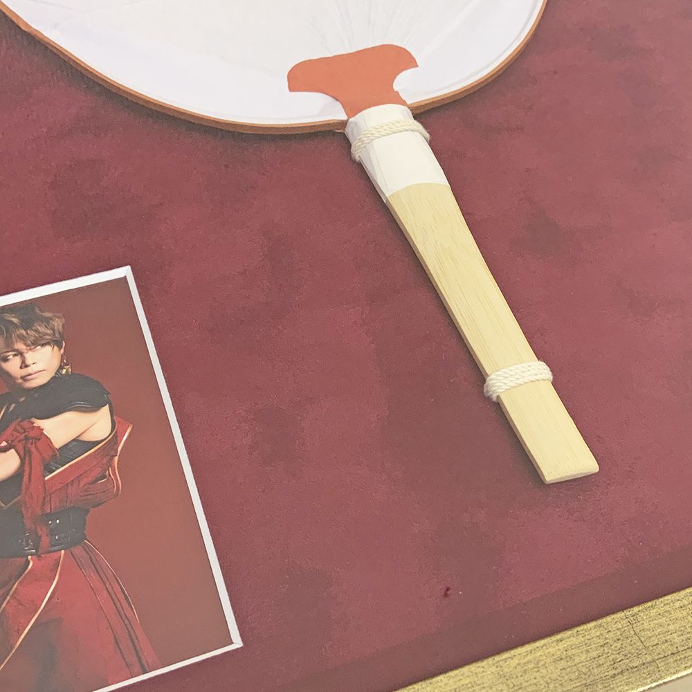 額装実例2 T.M.Revolution
