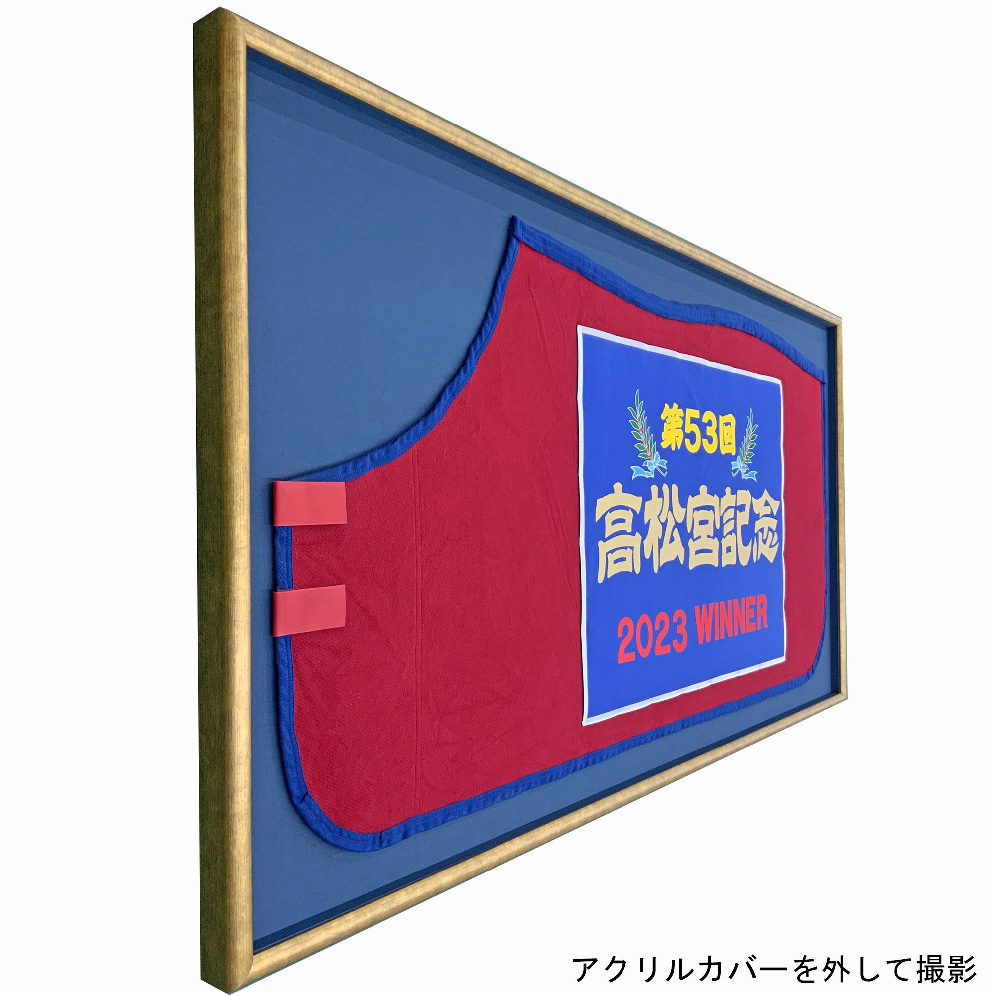 額装実例6 競走馬 優勝馬着