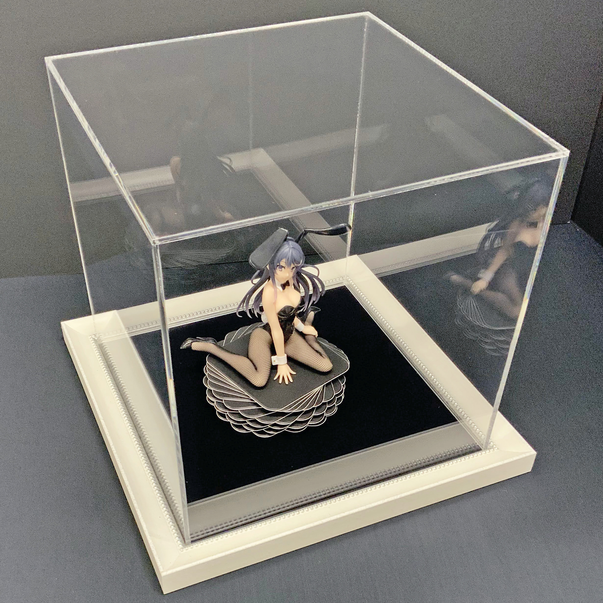 フィギュア アクリルケース