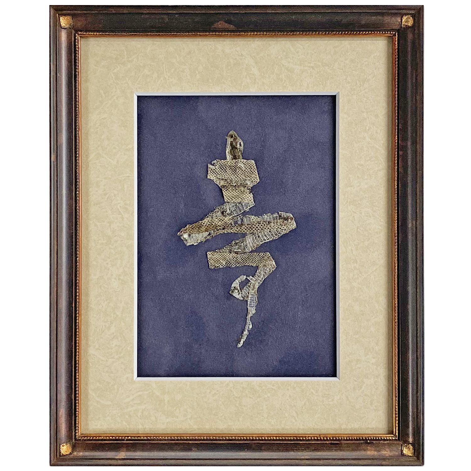 千切れた抜け殻 寿の形で